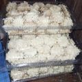 Cooksnap dari B Tetty untuk resep Semprit sagu keju