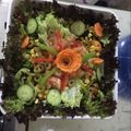 صورة من Zoozii ، شاركها بعد تجربة وصفة سلطه يونانيه