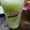 El cooksnap de Evanngelina Hernandez cuando hizo Batido detox pepino, para adelgazar, super rápido.