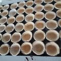 El cooksnap de Alba Curbelo cuando hizo Tartaletitas saladas, canapés.