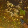 Cooksnap dari Widia untuk resep Rawon Daging Bumbu Instan