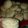 El cooksnap de Lorena Albornoz cuando hizo Scones de mi abuela.