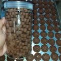 Cooksnap dari Ely Ely untuk resep Kue kering Coklat (kue lebaran kekinian)