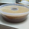 Cooksnap dari Dhita Puspa Astrini untuk resep Agar telur gula merah