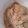 Alyssa's cooksnap of when they made Chocolate Chip Cookie Dough Dip.