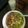 El cooksnap de Gabriela Gálvez cuando hizo Caldo de pollo con verduras🌹.