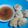 Cooksnap dari Dinar Salsabila untuk resep Cireng Salju Bumbu Rujak