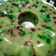 Cooksnap dari Emak Ziyad_ untuk resep Puding agar mozaik