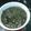 Shahin Akhtar's cooksnap of when they made গ্রীন চাটনি (green chutney recipe in Bengal).