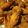 shelly.d.lampkin's cooksnap of when they made Sunshines fried chicken wings.