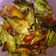 Cooksnap dari Novita Sri Rahayu untuk resep Tumis pindang salem expres
