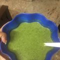 shweta 's cooksnap of when they made Spinach soup.