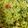 Rajvi Bhalodi's cooksnap of when they made કાંદા પોહા (Kanda Poha Recipe In Gujarati).