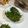 褚玟君 的 清炒空心菜 cooksnap