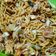 Cooksnap dari erollio untuk resep Mie goreng burung dara pedas