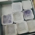Cooksnap dari Revani Lukman untuk resep 543. kue talam ubi ungu