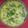 Bina Talati's cooksnap of when they made ખમણ (Khaman Recipe In Gujarati).