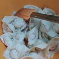 Cooksnap dari Elisa untuk resep Kulit Dumpling / GYOZA