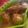 Cooksnap dari Hana Ayu Lestari untuk resep Opor Ayam pedas