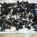 cateye's cooksnap of when they made Tinklee's Oreo Delight.