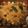 Winco Liu 的 紅燒牛肉 cooksnap