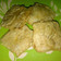 Cooksnap dari Siswaty Elfin Bachtiar untuk resep Tempe Goreng Tepung