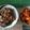 Cooksnap dari Selviyani untuk resep Gudeg Jogja dan sambel krecek ala mama nadyne
