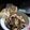 Cooksnap dari Ridhani Pangestuti untuk resep Seblak simple
