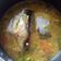 Cooksnap dari Dian Herma untuk resep Sup ikan patin 🐟