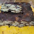 Cooksnap dari Dinni Zakiyyah untuk resep Kue batik