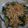 Cooksnap dari Dinda Nurlita untuk resep Urap sayur pedesnya pool