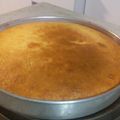 El cooksnap de rene victor gonzalez cuando hizo Torta esponjosa de naranja🍊.