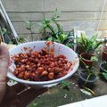 Cooksnap dari Mey La untuk resep Kacang Balado