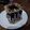 Cooksnap dari Santi Soerjadi untuk resep Spong cake coklat lembut irit