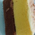 Cooksnap dari nita NS untuk resep Lapis sponge cake versi Lapis surabaya ekonomis