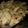 Nitika Gupta's cooksnap of when they made White sauce Pasta.