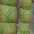 Cooksnap dari Siti Kumairo untuk resep Bolu pandan