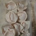 Cooksnap dari dewi febriyanti untuk resep Sup pangsit (dumpling) ayam 🍄🍲🐔