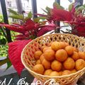 Cooksnap của QUÂN NGUYỄN khi họ làm theo món Bánh khoai lang tròn