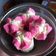 Cooksnap dari dwi puspitasari untuk resep Bolu kukus mekar lembut (tanpa air soda)