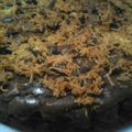 Cooksnap dari Qonita Herawati untuk resep Brownies Panggang Klasik