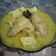 Cooksnap dari DianCemplux untuk resep OPOR AYAM (+TELUR) BUMBU KUNING