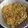 Cooksnap dari Ika Enjarningtyas untuk resep Mie Gomak Goreng Khas Toba Samosir