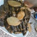 صورة من ام صلاح ، شاركها بعد تجربة وصفة يالنجي