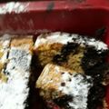 El cooksnap de Maria Jose cuando hizo Budín Marmolado.