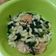 Cooksnap dari Ulfa Ramadanti untuk resep Pasta Udang Bayam Keju - MPASI 1+