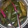 Cooksnap dari Ranselney untuk resep Lapek sagan