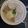 Cooksnap dari Sazama untuk resep Soto Daging