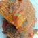 Cooksnap dari Windy Untania untuk resep Pesmol Ikan Bawal