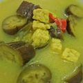 Cooksnap dari Haylen Liu untuk resep Lodeh tempe terong